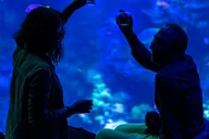San Francisco NightLife Plus at California Academy of Sciences thumbnail 2
