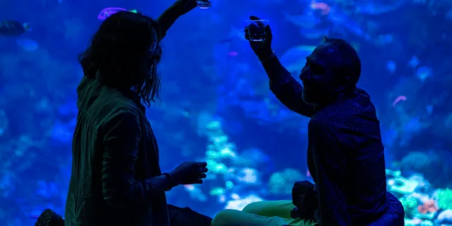 San Francisco NightLife Plus at California Academy of Sciences - Image 2