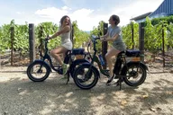 Napa E-Bike Rental Full Day thumbnail 2