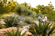 Houston Planetarium and Botanic Garden Tour thumbnail 2