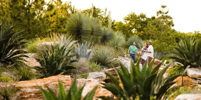Houston Planetarium and Botanic Garden Tour - Image 2