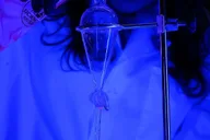New York Science and Sip Experience thumbnail 2