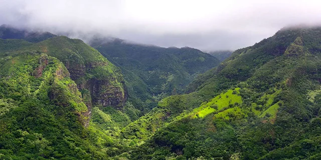Kauai Highlights and Movie Sites Tour - Image 4