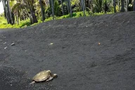Oahu Hawaii Volcanoes National Park Experience thumbnail 3