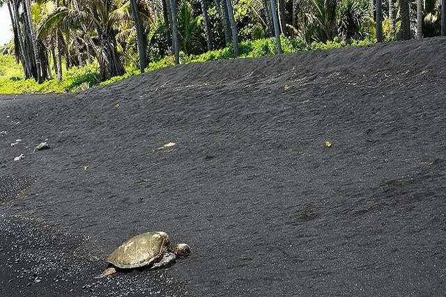 Oahu Hawaii Volcanoes National Park Experience - Image 3