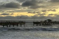 Lauderdale-by-the-Sea Snorkel Reef Trails 90 Min thumbnail 5
