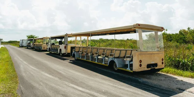 Miami Everglades Airboat Ride and Nature Walk - Image 5