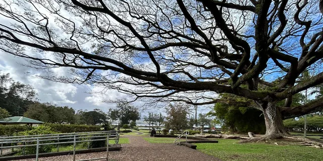 Hilo Volcanoes National Park Tour - Image 3