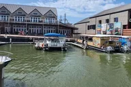 Galveston Dolphin Watching Boat Tour thumbnail 3