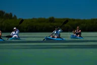 Tierra Verde Kayak Tour in Mangrove Preserve thumbnail 5