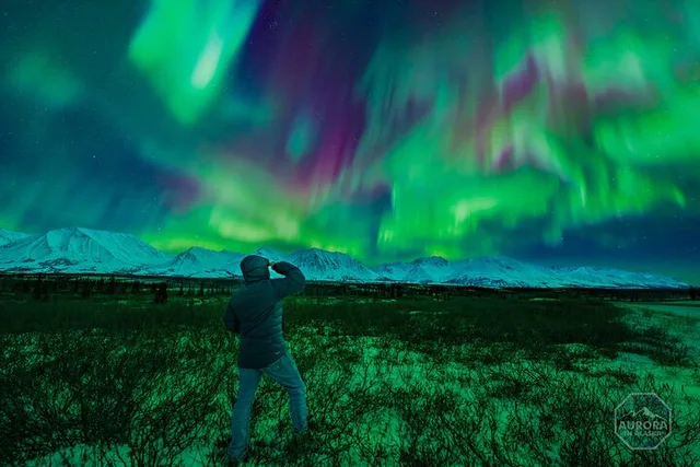Fairbanks Northern Lights Experience - Image 3