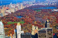 New York Subway and Bus Tour with Private Guide thumbnail 3