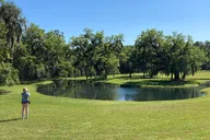 Charleston Drayton Hall Plantation Tour 3.5 hr thumbnail 4