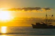 Hilton Head Sunset Kayak and Cruise thumbnail 3