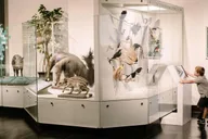 Buffalo Museum of Science Admission Ticket thumbnail 2