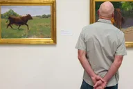 Corpus Christi Art Museum Entry Ticket thumbnail 5