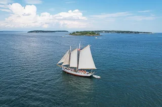 Portland Windjammer Cruise