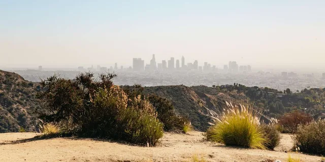 Los Angeles Hollywood Sign Walking Tour - Image 3