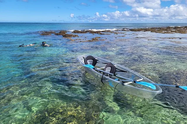 Haleiwa Clear Bottom Kayak Tour with Turtles 2 hr - Image 3