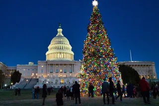 Washington, DC Holiday Lights Night Bus Tour