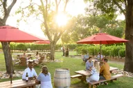 San Francisco Wine Tour in Napa and Sonoma 6 hr thumbnail 1