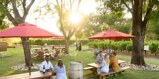 San Francisco Wine Tour in Napa and Sonoma 6 hr