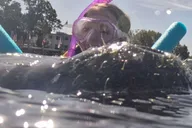 Crystal River Swim with Manatees Tour thumbnail 5
