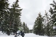 Jackson Snowmobile Rental with Gear & Trailer 8.5 hr thumbnail 5