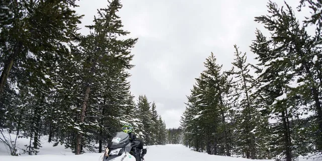 Jackson Snowmobile Rental with Gear & Trailer 8.5 hr - Image 5