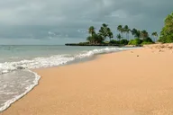 O‘ahu Landmarks and Architecture Guided Tour thumbnail 5
