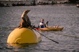 San Diego Kayak Rental in Mission Bay