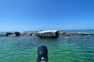 Gulfport Private Snorkeling and Dolphin Tour 4.5 hr thumbnail 4