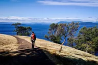 San Juan Island Kayaking Adventure thumbnail 5