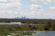 New Orleans Kayak Bayou Swamp Tour thumbnail 2