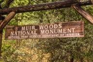 San Francisco Golden Gate Sausalito Muir Woods Private Tour thumbnail 1