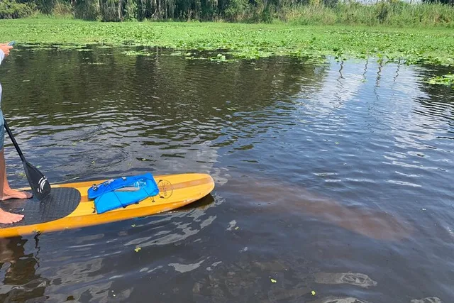 Orlando Manatee and Olde Florida History Tour - Image 6