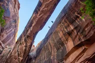 Moab Canyoneering Morning Glory Arch thumbnail 5