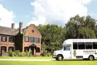 Charleston Middleton Place Tour with Lunch thumbnail 1