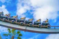 Orlando Hotel to Airport Transfer Sprinter Van thumbnail 2