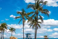 Miami Coastal Private Tour thumbnail 2