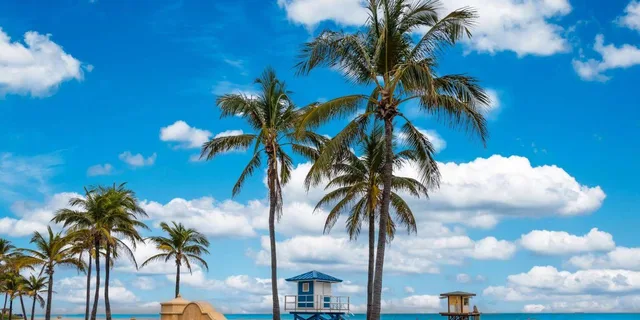 Miami Coastal Private Tour - Image 2