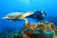 Oahu Private Tour thumbnail 5