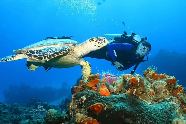 Oahu Private Tour - Image 5
