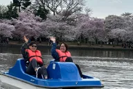 Washington DC Tidal Basin Pedal Boat Rental thumbnail 3