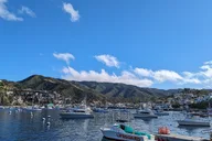 Avalon Scavenger Hunt Walking Tour thumbnail 2