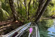 Rainbow River Kayak Rental 2 hr thumbnail 4