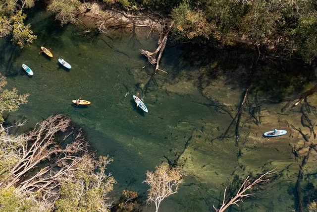 Panama City Kayak and Snorkel Eco Adventure - Image 5