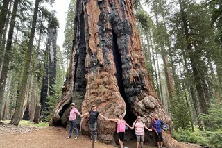 Sequoia National Park Outdoor Retreat