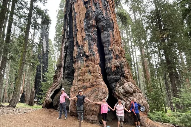 Sequoia National Park Outdoor Retreat - Image 1