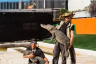 Miami Everglades Airboat Tour thumbnail 6